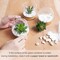 Set of 3 Mini Artificial Succulent Plants in Clear Glass Pots with Bamboo Tray – Realistic Faux Green Desk Plants for Home, Office, Bathroom, Kitchen & Tabletop Decor